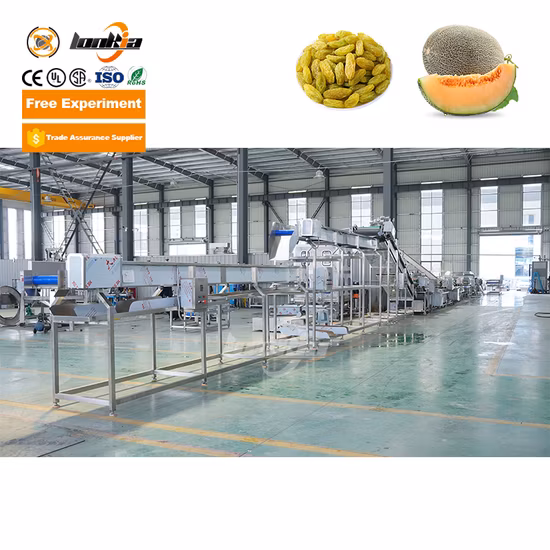 Factory Price Industrial Raisin Processing Line Cleaning Drying