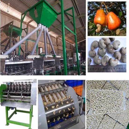 500kg/H Automatic Cashew Nut Sheeling Roasting Production Processing Line with Factory Price