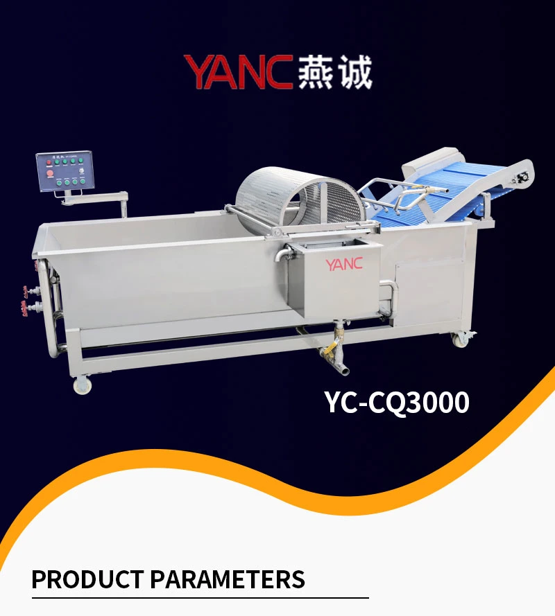 Fully Automatic Date Palm Carrot Fruit Vegetable Washer Dryer Cleaning Machine Dates Washing and Drying Line