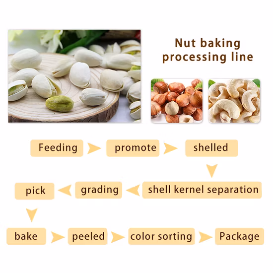 TCA High Quality Hazelnut Peeling Almond Cracking Macadamia Nuts Roasting Pistachio Cashew Nut Processing Machine