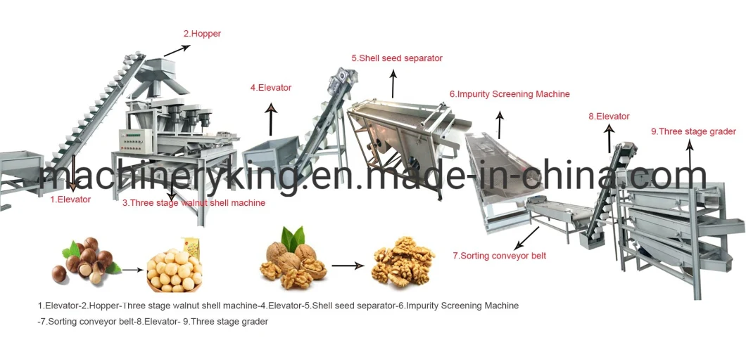 500kg Capacity Hazelnut Shell Cracker Almond Nut Cracking Sheller Processing Machine Line