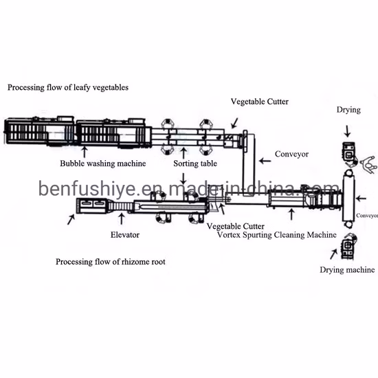 Roots Vegetable Cleaning Peeling Washing Cutting Drying Processing Line