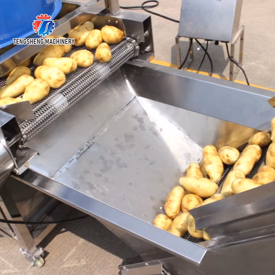 Industrial Vegetable and Fruit Potato Selection of Hair Roller Bubble Cleaning Drying Cutting Machine Production Line