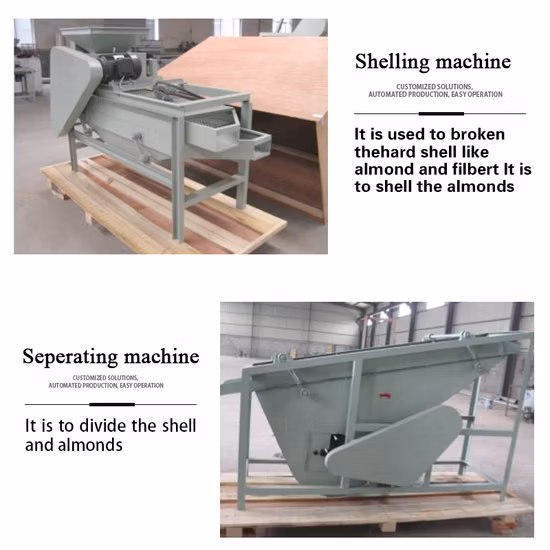 TCA High Quality Hazelnut Peeling Almond Cracking Macadamia Nuts Roasting Pistachio Cashew Nut Processing Machine